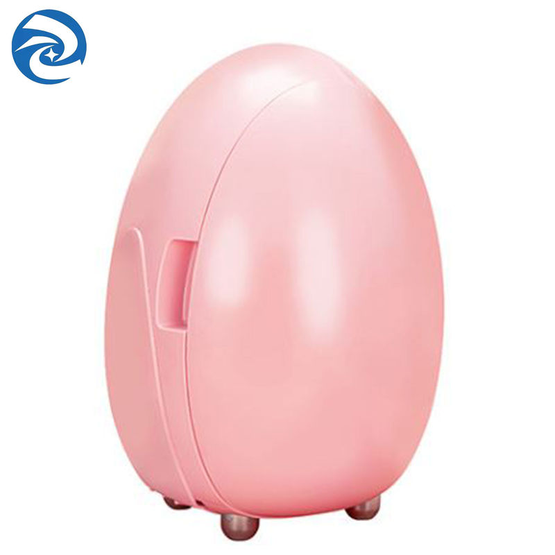 100V To 240V Mini Fridge For Skincare Products 42W 10L
